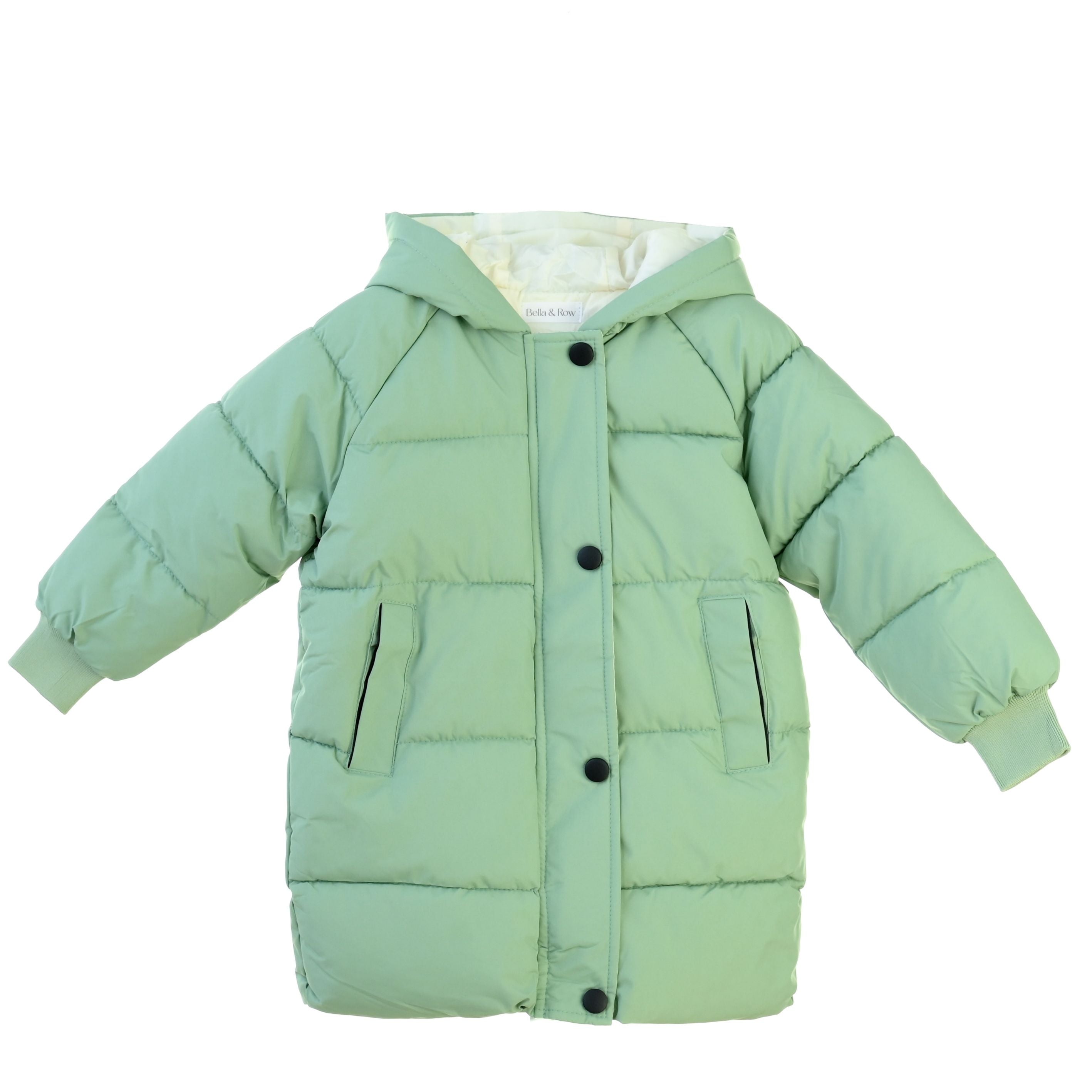 The Wanderer Puffer | Sage 